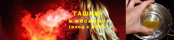 прущие грибы Новокубанск