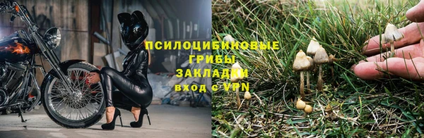 кокаин Новодвинск