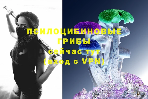 марки nbome Новозыбков