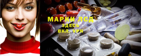 прущие грибы Новокубанск