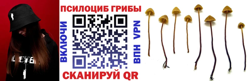KRAKEN ссылка  Светлоград  Галлюциногенные грибы ЛСД  как найти закладки 