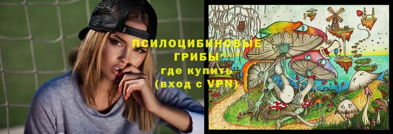 Псилоцибиновые грибы Psilocybine cubensis  Светлоград 