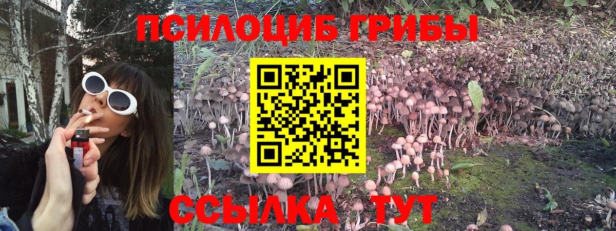 Галлюциногенные грибы Psilocybine cubensis  наркотики  Светлоград  Вход с VPN 