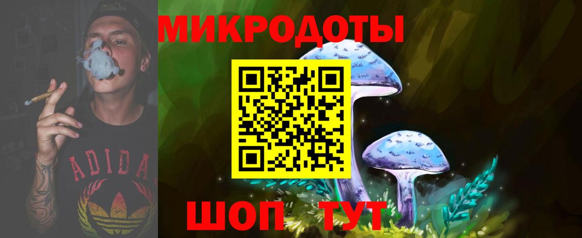 Светлоград  Галлюциногенные грибы прущие грибы  Вход с VPN 