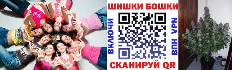 Бошки марихуана конопля  сколько стоит  KRAKEN ССЫЛКА  Светлоград 